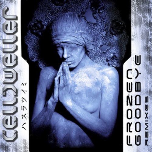 Frozen-Goodbye (Remixes)封面