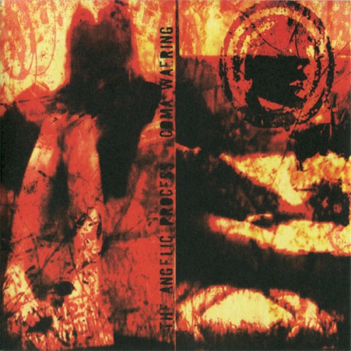 Coma Waering封面