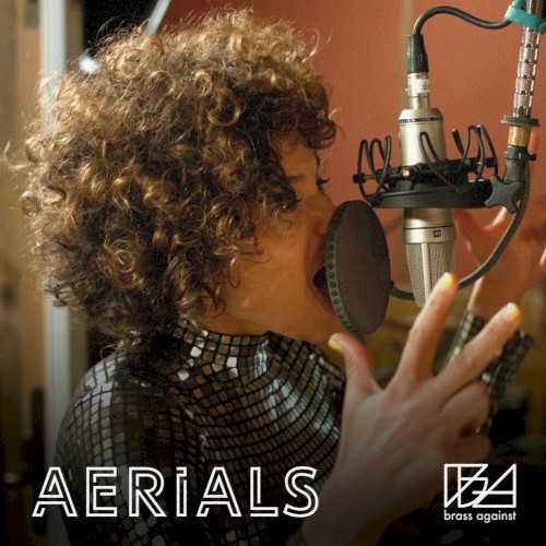 Aerials封面