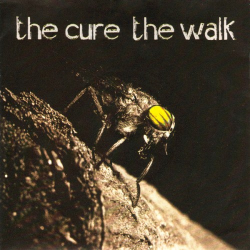 The Walk封面
