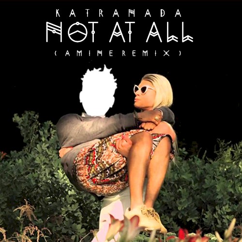 Not at All (Aminé remix)封面