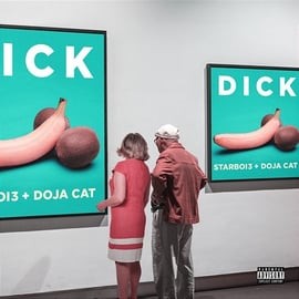 Dick封面