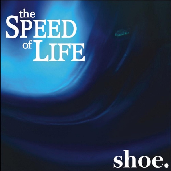 The Speed of Life封面