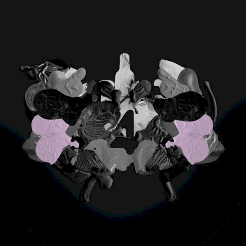 Lámina once封面