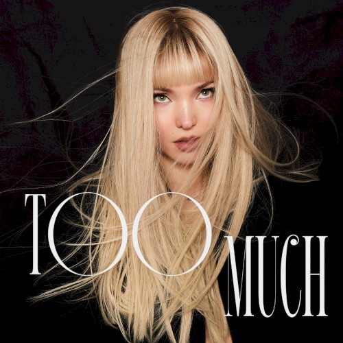 Too Much封面
