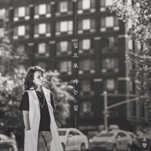 집으로 가는 길封面