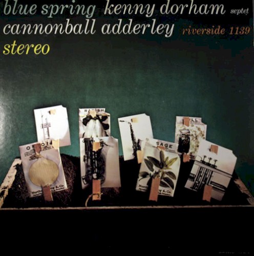 Blue Spring封面