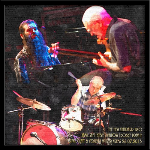The New Standard Trio: Festival Glatt & Verkehrt, Winzer Krems, 26.07.2015封面