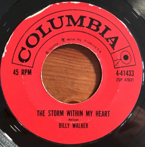 The Storm Within My Heart / A Woman Like You封面
