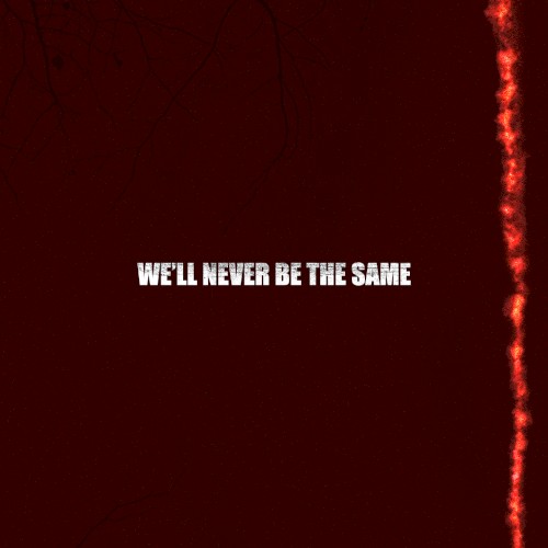 We'll Never Be the Same封面