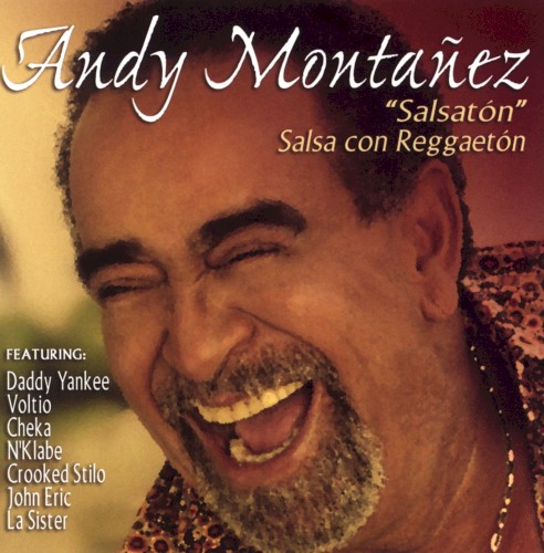 Salsatón: Salsa con reggaetón封面
