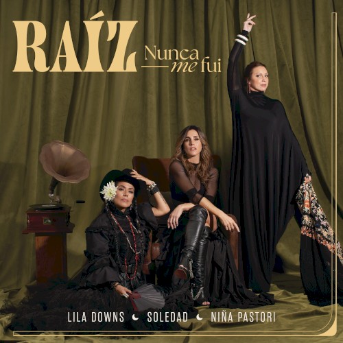 Raíz nunca me fui封面