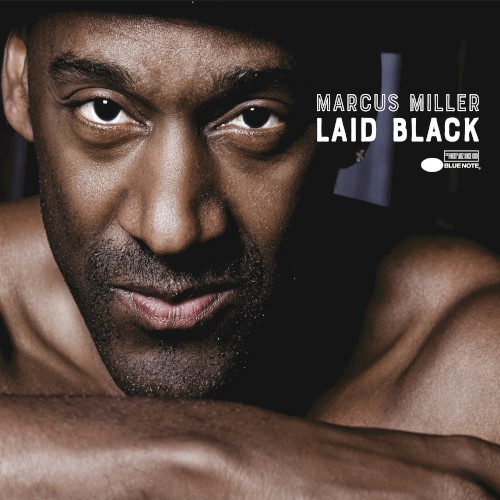 Laid Black封面