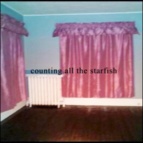 counting all the starfish封面