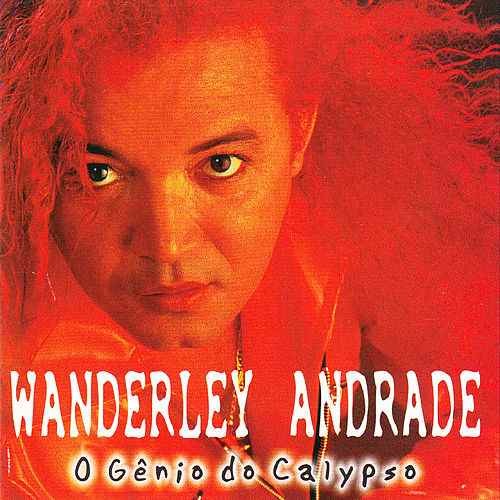 O Gênio do Calypso封面
