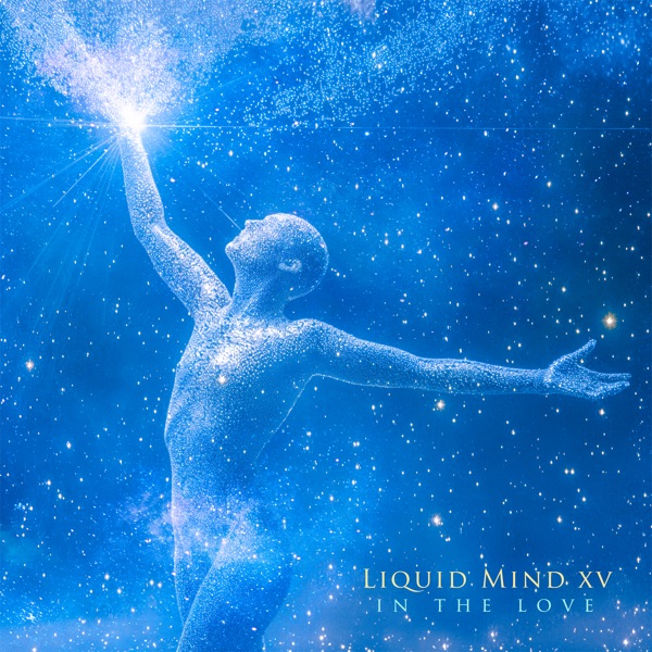 Liquid Mind XV: In the Love封面