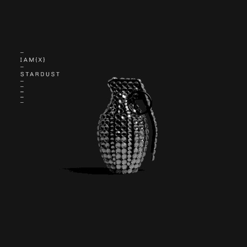Stardust封面