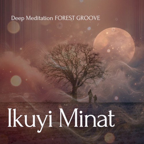 Deep Meditation Forest Groove封面