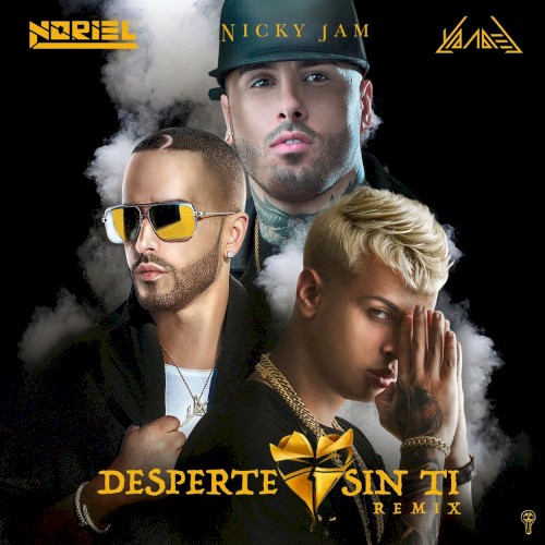 Desperté sin ti (remix)封面