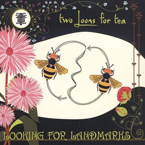 Looking for Landmarks封面