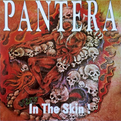 In the Skin!封面
