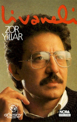 Zor Yıllar封面