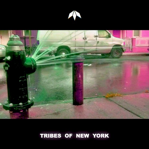 Tribes of New York封面