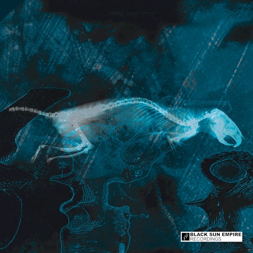 The Rat / B'Negative封面