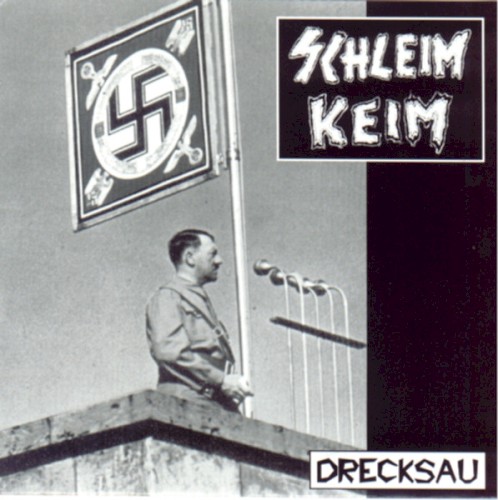 Drecksau封面