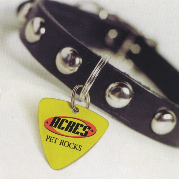 Pet Rocks封面