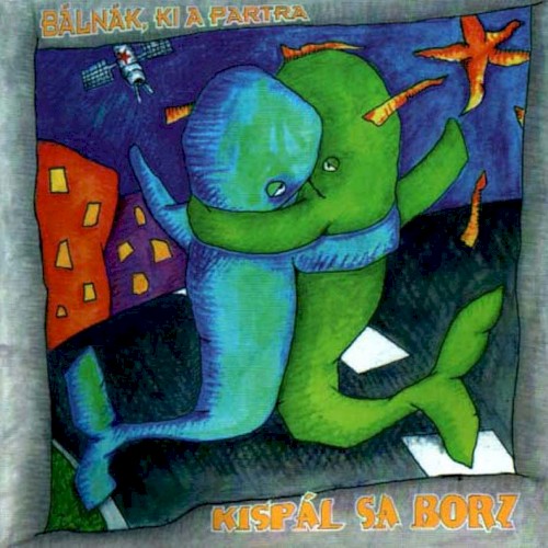 Bálnák, ki a partra封面