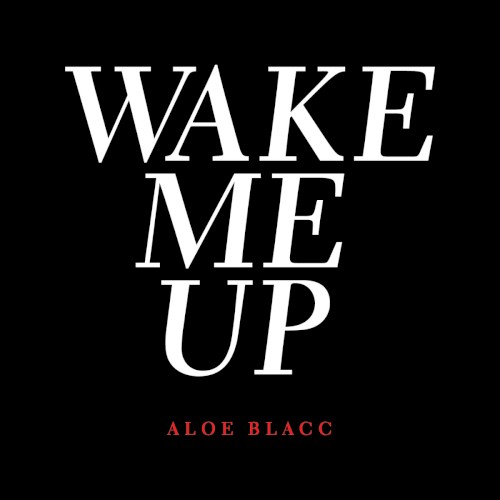 Wake Me Up封面