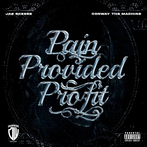 Pain Provided Profit封面