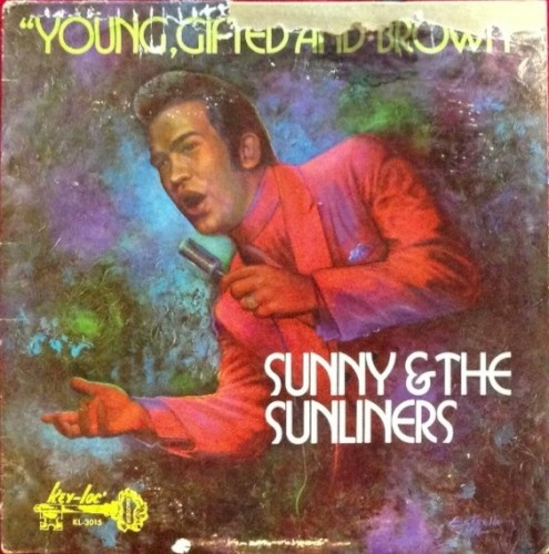 Young, Gifted and Brown封面