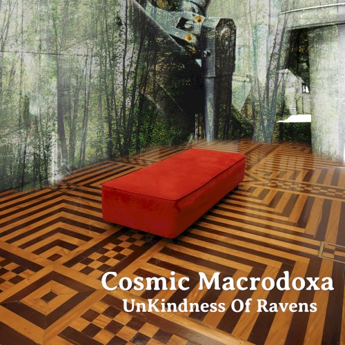 Cosmic Macrodoxa封面