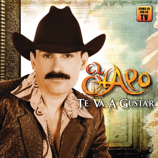 Te va a gustar封面