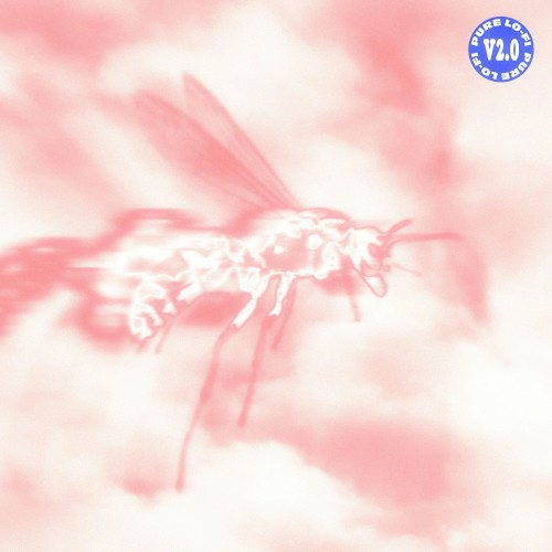 pure lo-fi 2封面