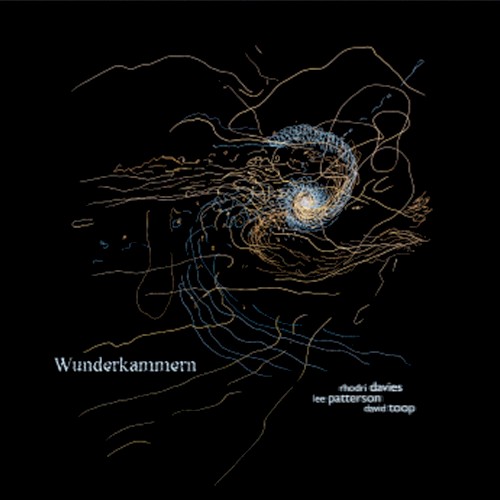 Wunderkammern封面
