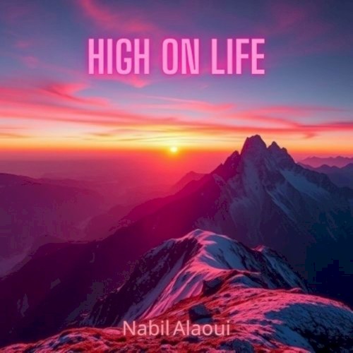 High on Life封面