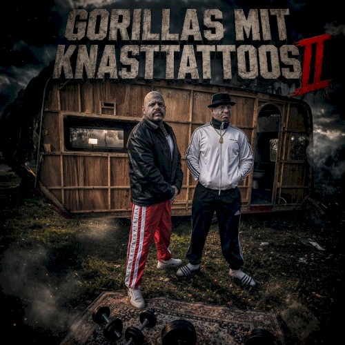 GORILLAS MIT KNASTTATTOOS II封面
