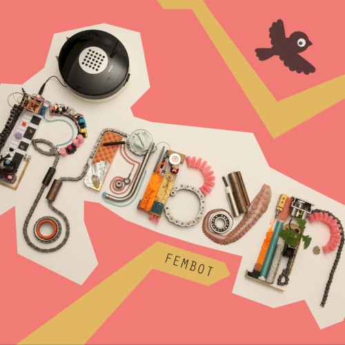 Fembot封面