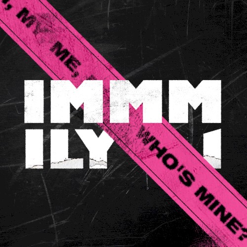 IMMM封面