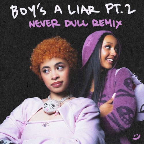 Boy's a Liar Pt.2 (Never Dull remix)封面