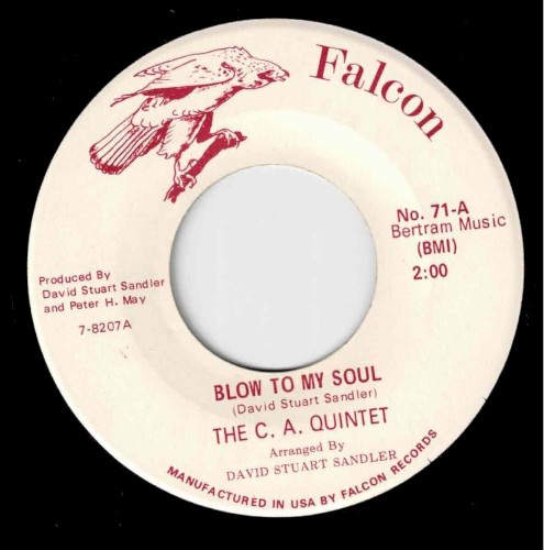 Blow to My Soul / She's Got to Be True封面