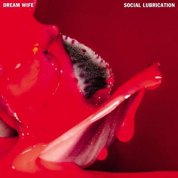 Social Lubrication封面