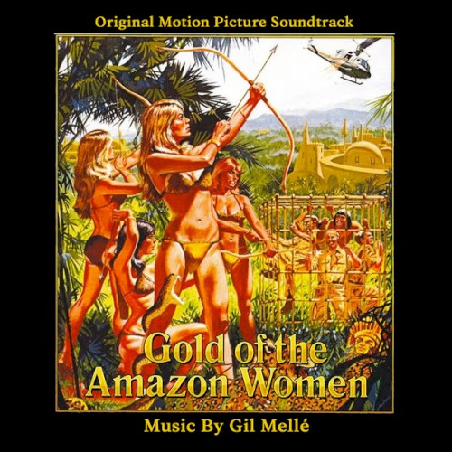 Gold of the Amazon Women封面