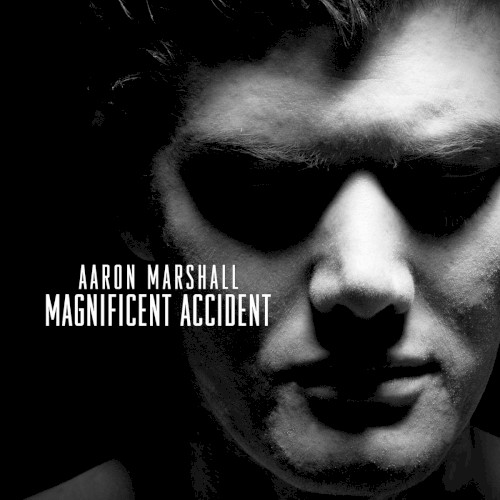 Magnificent Accident封面