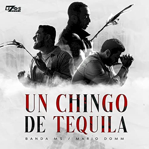 Un chingo de tequila封面