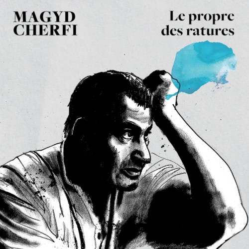 Le propre des ratures封面