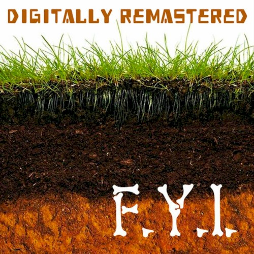 F.Y.I.封面